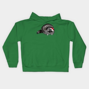 Christmas Raccoon Kids Hoodie